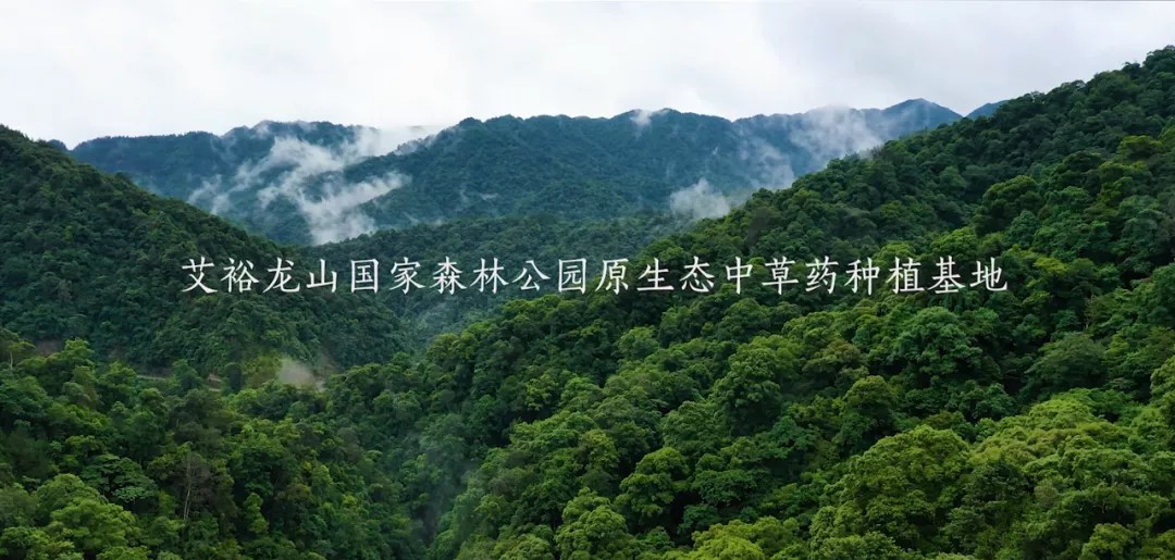 “裕我同行”丨選對產品，助攻保護力UP!