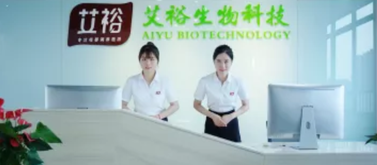 QQ截圖20240605115235.png